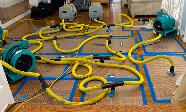 Professional Crawl Space Water Removal technician working in Wellman, TX